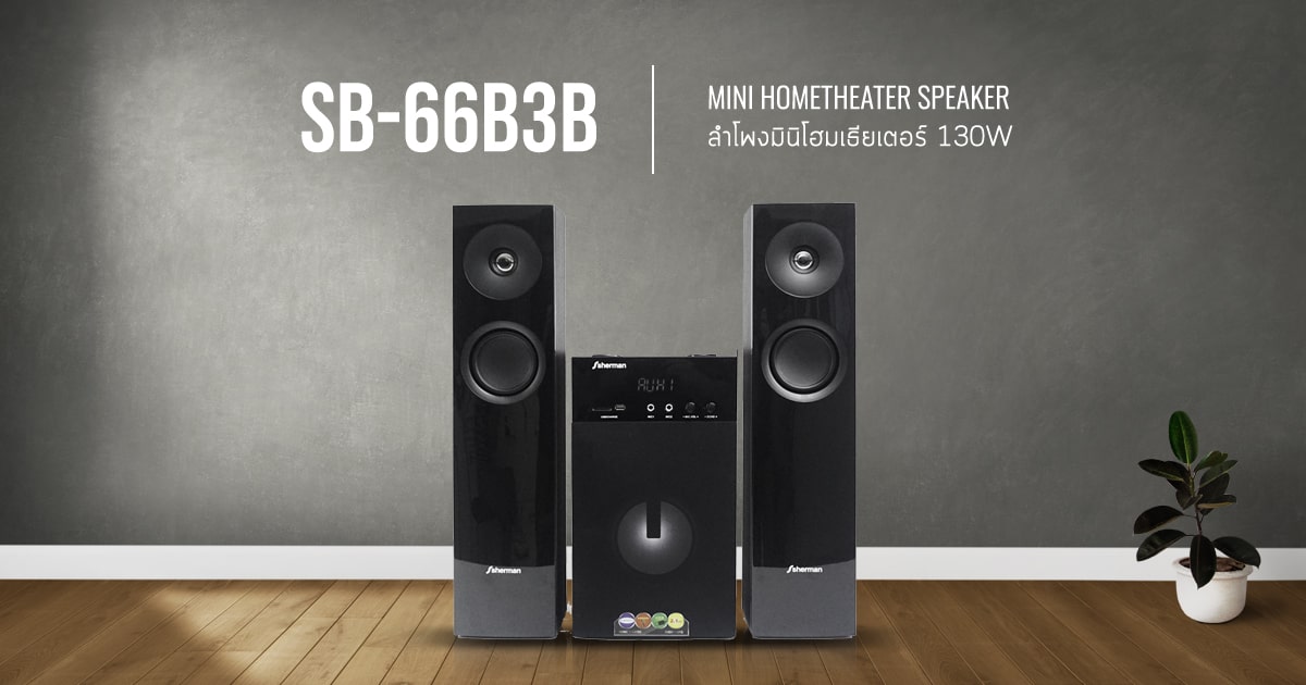 ลำโพงมินิโฮมเธียเตอร์ 130W รุ่น SB-66B3B