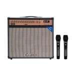 ลำโพงตัวใหญ่อเนกประสงค์ ไมค์คู่ APS-105