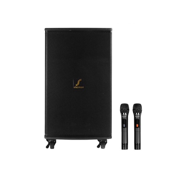 ลำโพงเครื่องเสียงเคลื่อนที่ APS-115+