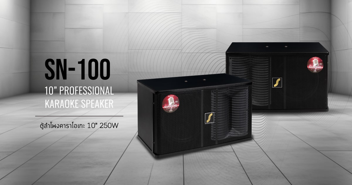 ตู้ลำโพงคาราโอเกะ 10 นิ้ว 250W SN-100