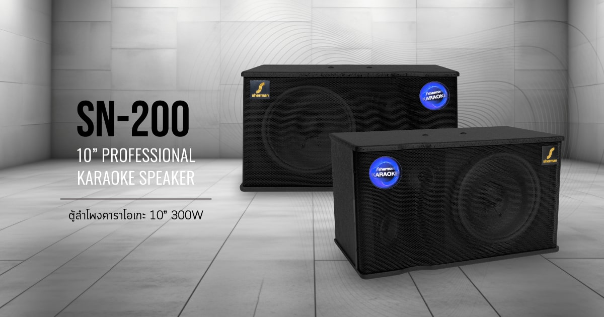 ตู้ลำโพงคาราโอเกะ 10 นิ้ว 300W SN-200