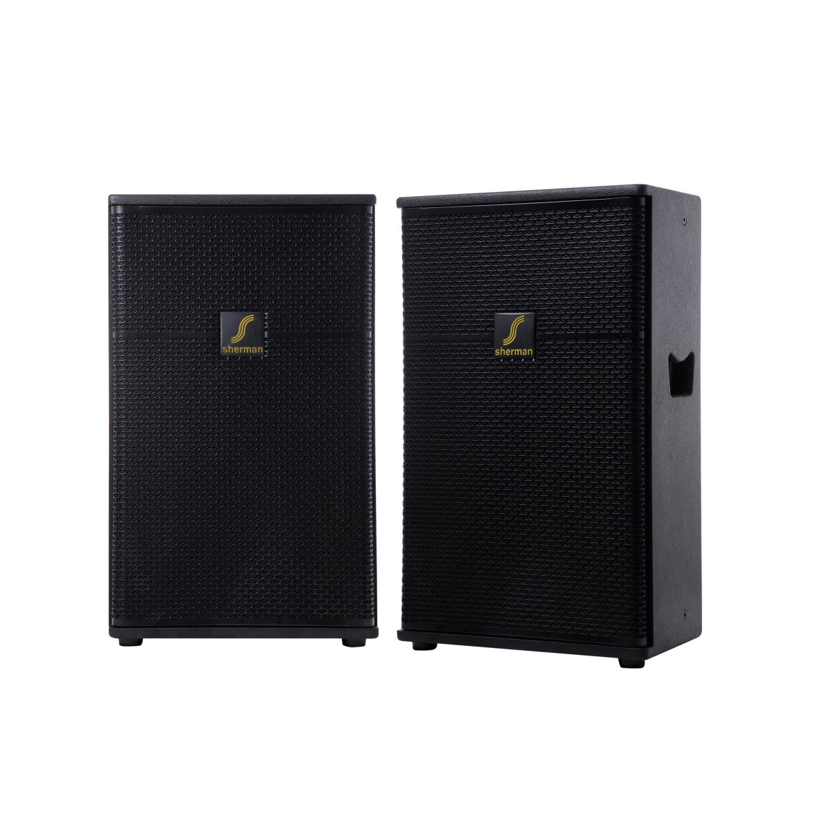 ลำโพงมอนิเตอร์ 12 นิ้ว (Black) SM-124