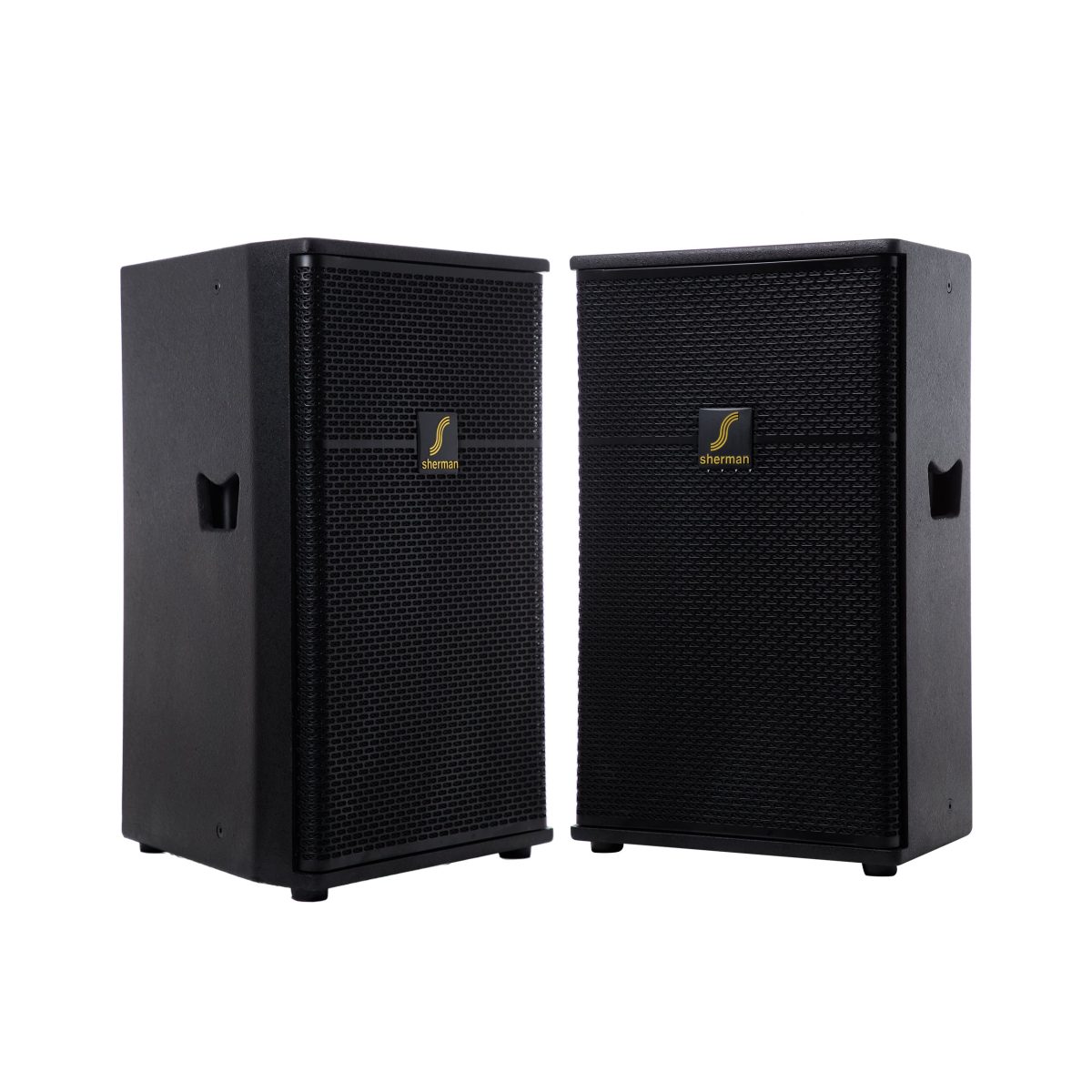 ลำโพงมอนิเตอร์ 12 นิ้ว (Black) SM-124