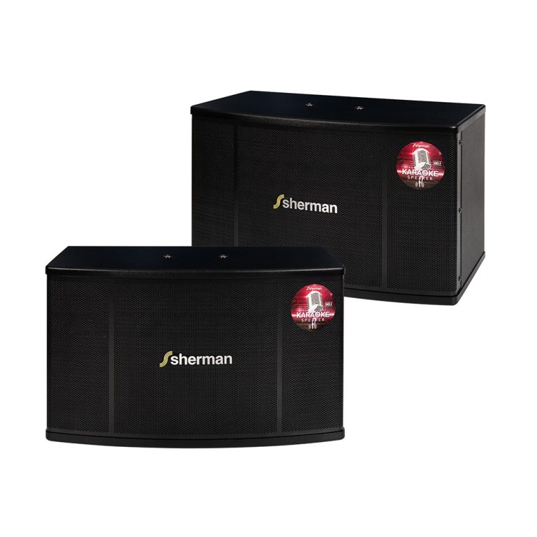 ตู้ลำโพงคาราโอเกะ 10 นิ้ว SN-006