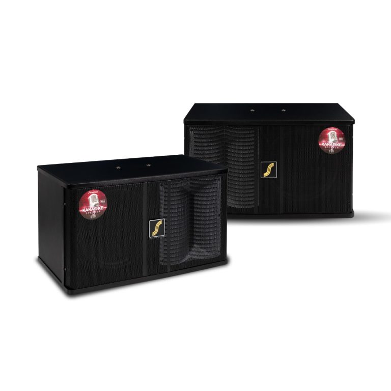 ตู้ลำโพงคาราโอเกะ 10 นิ้ว 250W SN-100