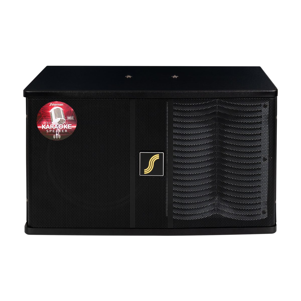 ตู้ลำโพงคาราโอเกะ 10 นิ้ว 250W SN-100