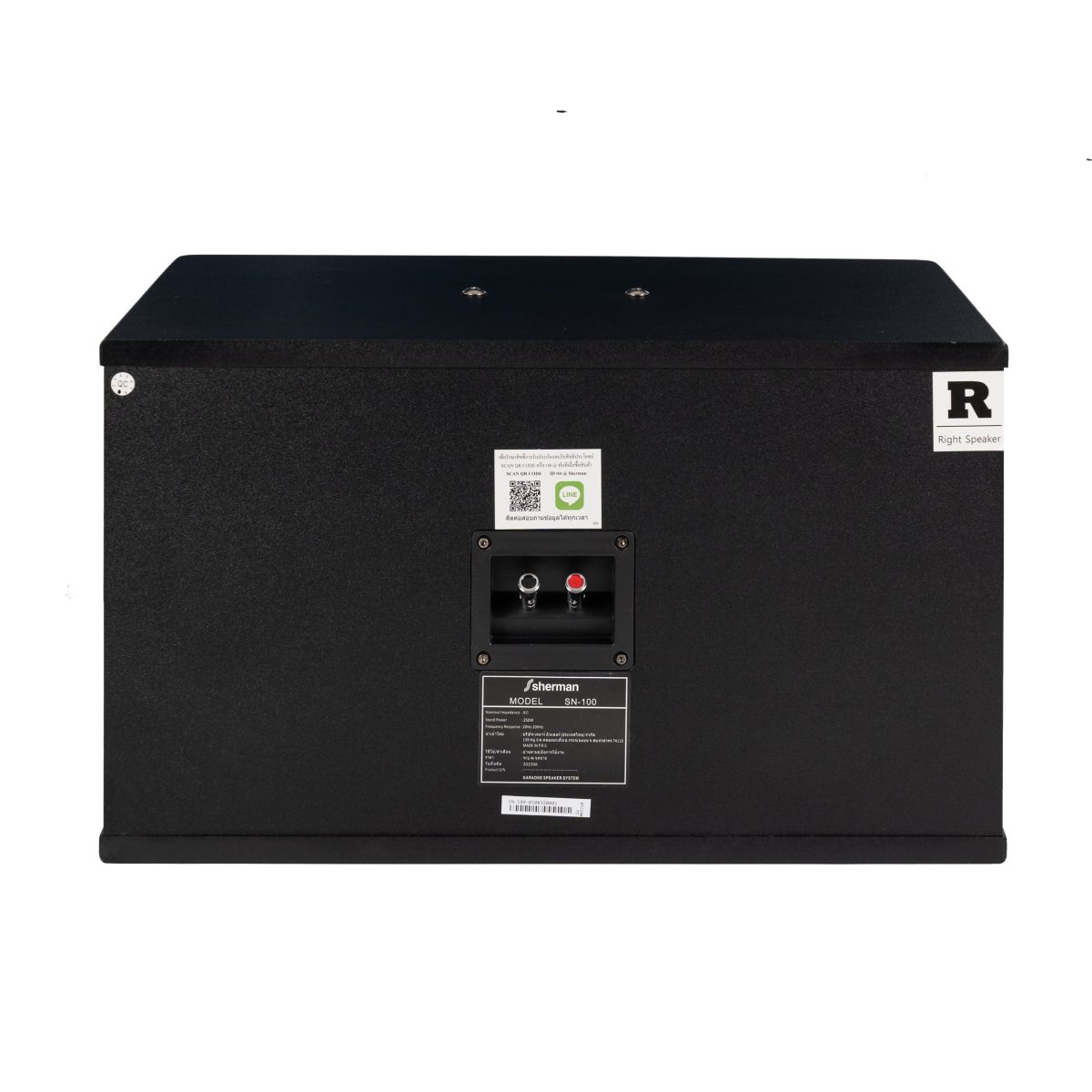 ตู้ลำโพงคาราโอเกะ 10 นิ้ว 250W SN-100