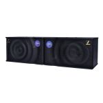 ตู้ลำโพงคาราโอเกะ 10 นิ้ว 300W SN-200