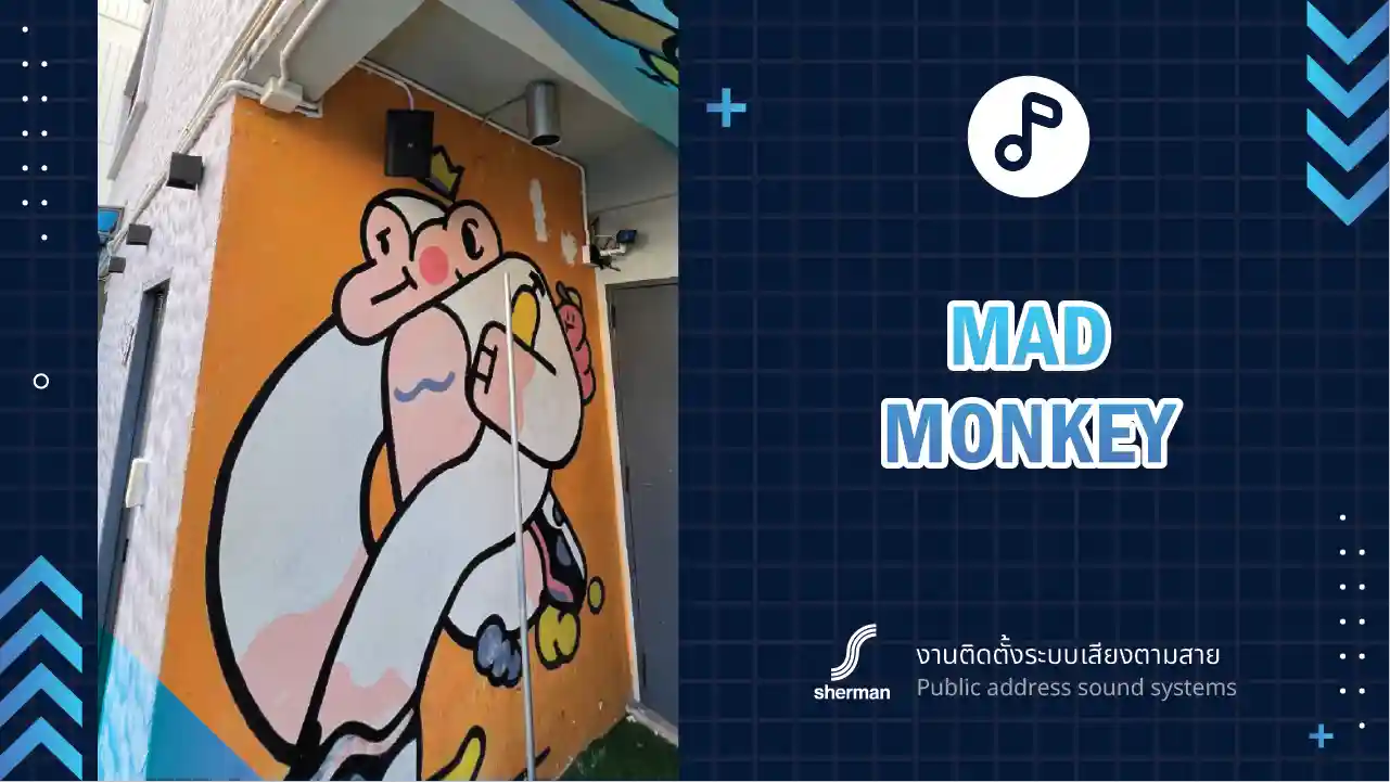 งานติดตั้งระบบเสียงตามสาย ร้าน Mad Monkey